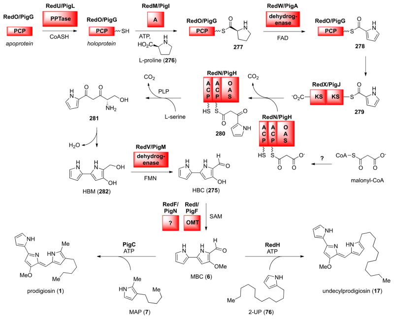 Scheme 24