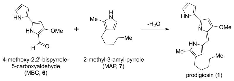 Figure 31