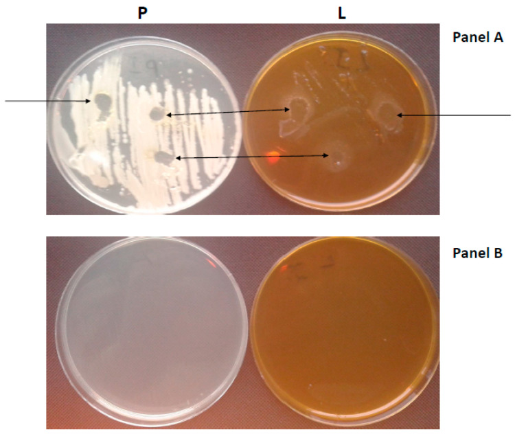 Figure 7