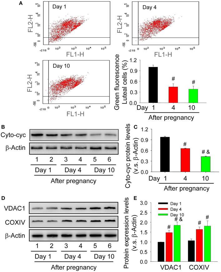 Figure 6