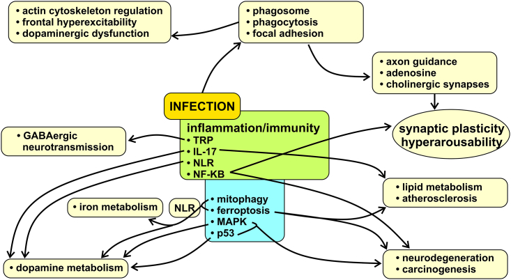 Figure 2