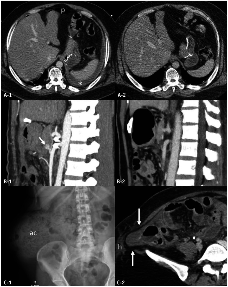 Fig. 9