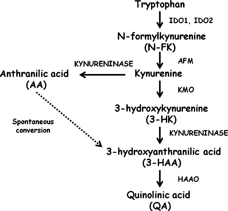 Fig. 1