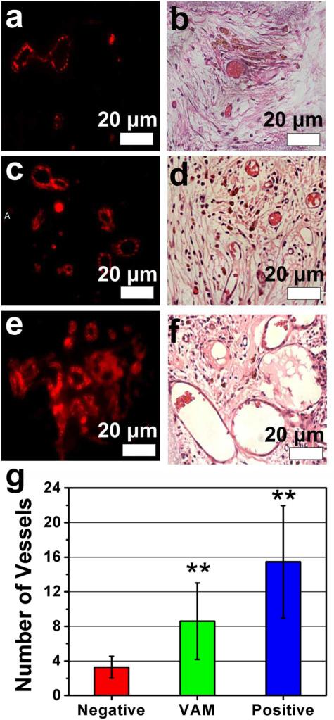 Figure. 4