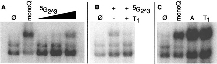 FIG. 6