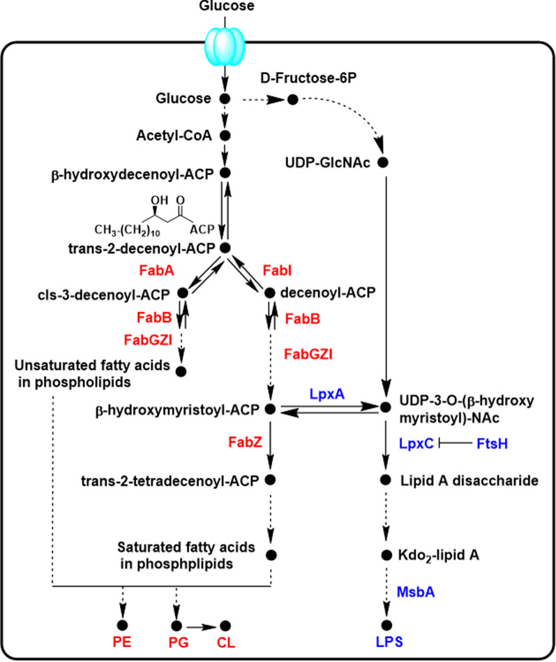 Fig. 4