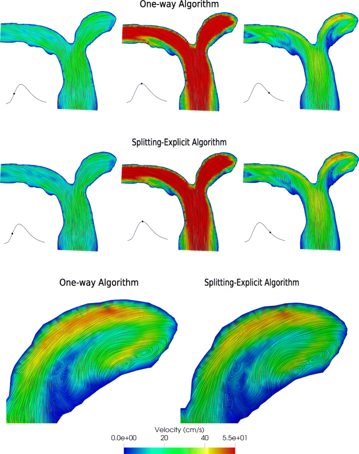 Fig. 7