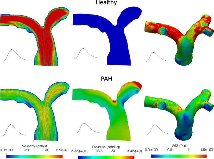 Fig. 10