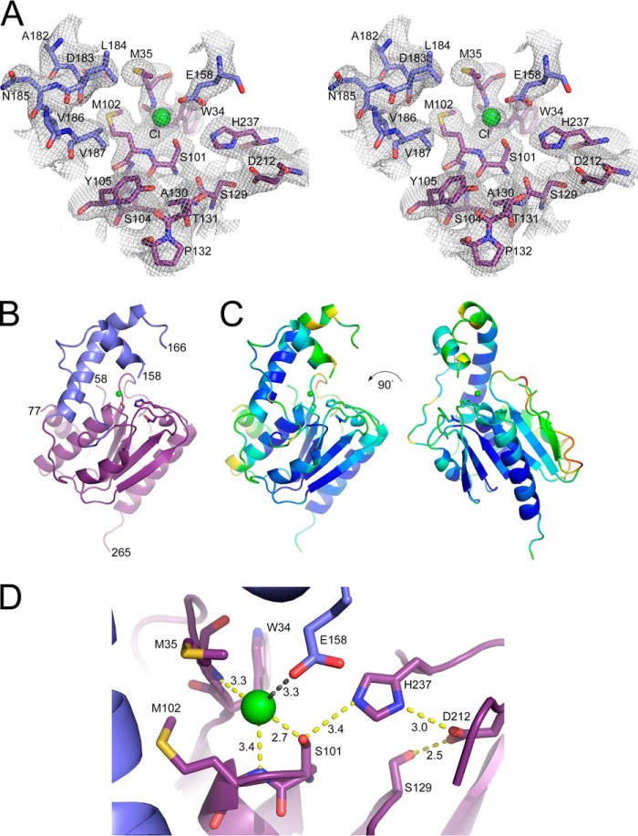 FIGURE 4.