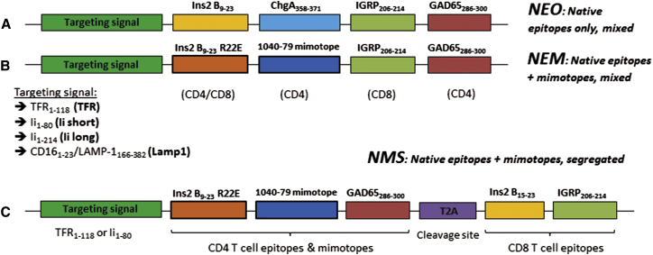 Figure 1