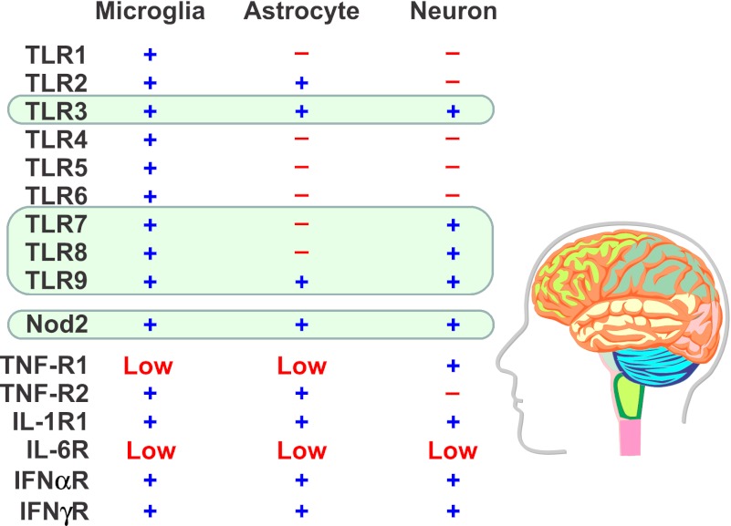 Fig. 6.