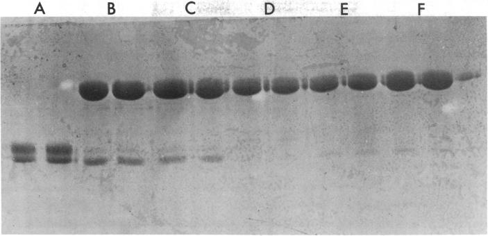 graphic file with name pnas00015-0059-a.jpg