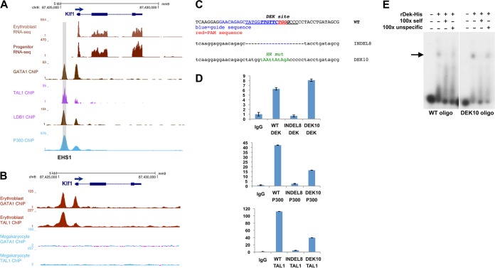 FIG 6