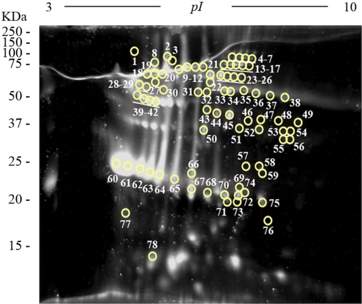 Fig. 4.