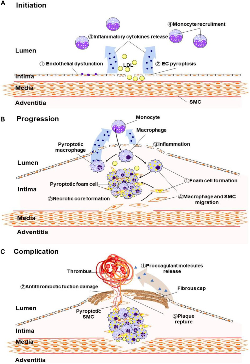 FIGURE 2