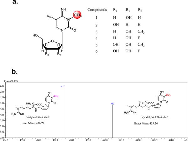 Figure 6