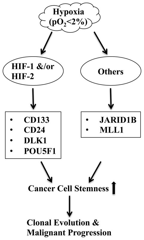 Fig. 2.1