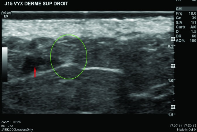 Figure 3.