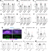 Figure 1—figure supplement 1.
