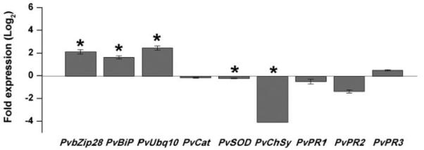 Fig. 7