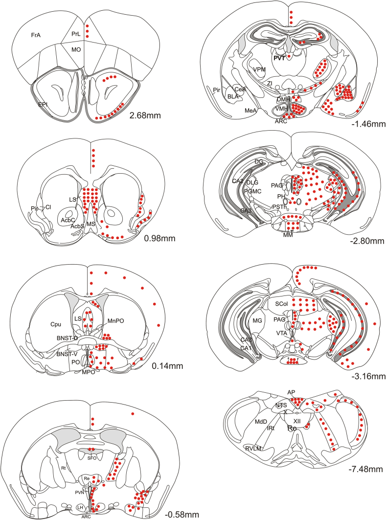 Figure 2