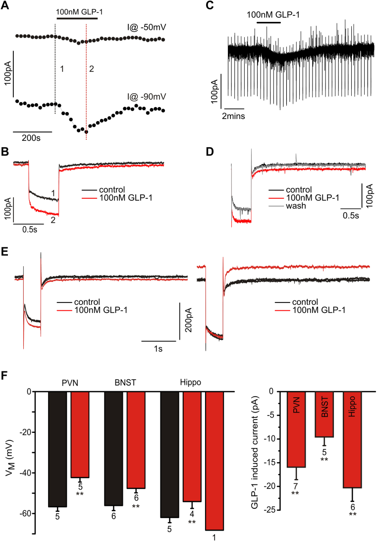 Figure 7