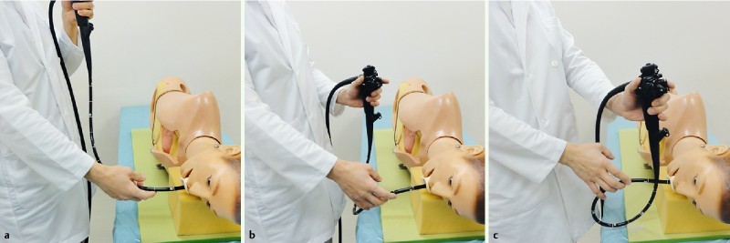 Fig. 4