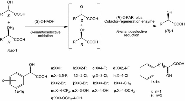 Scheme 2
