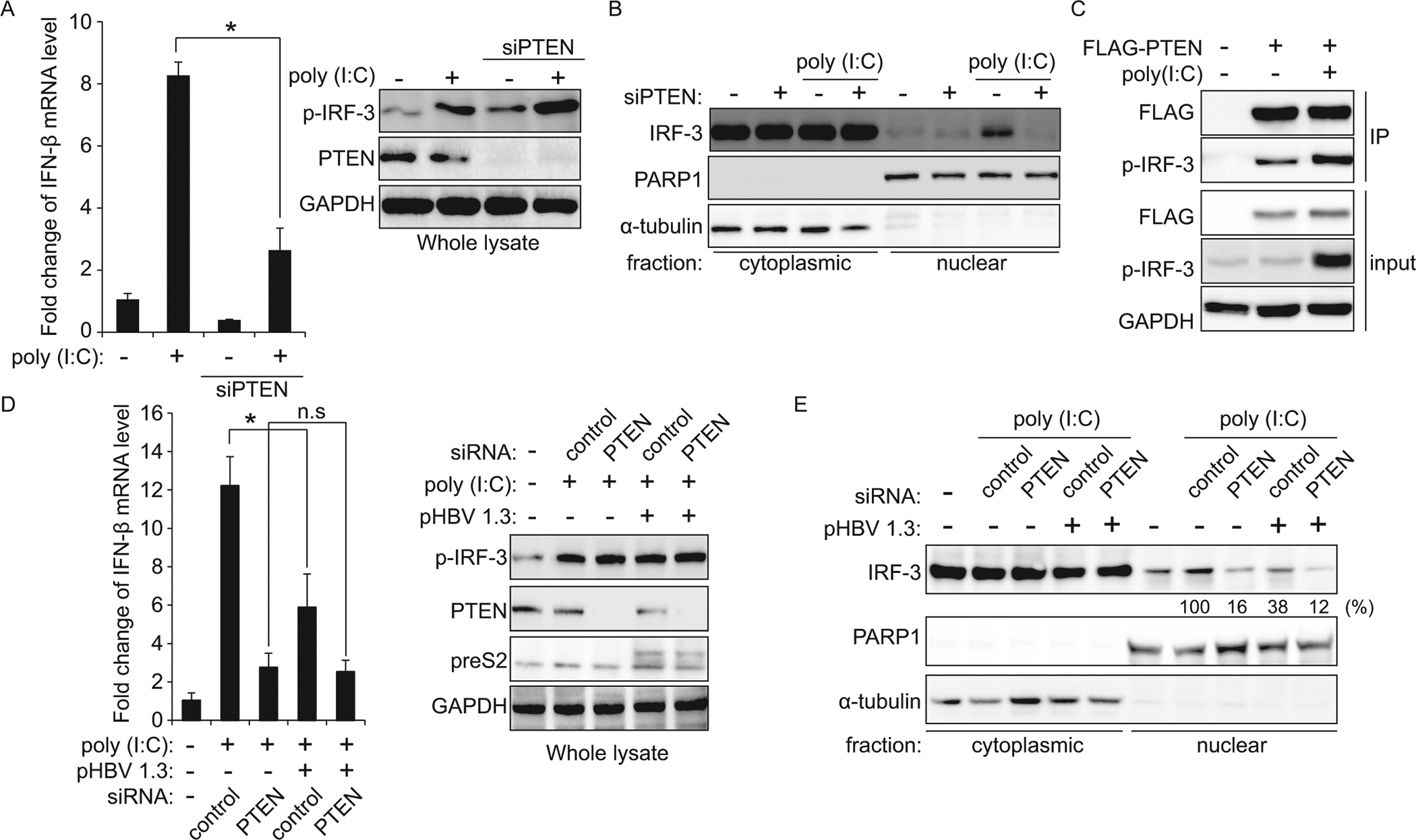 Fig 3.