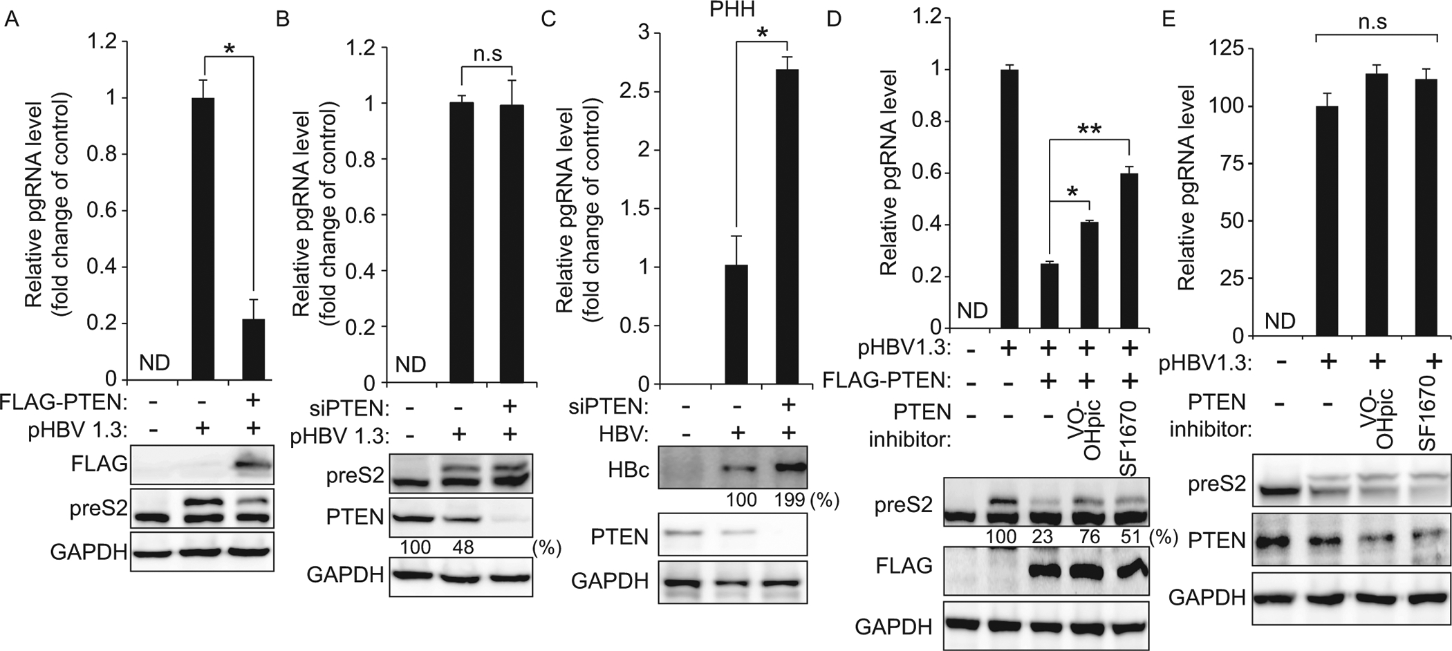 Fig 6.