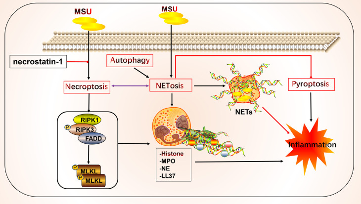 Figure 3