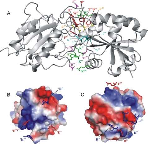 FIGURE 6.