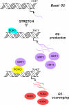 FIGURE 7.