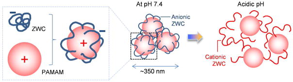 Fig. 10