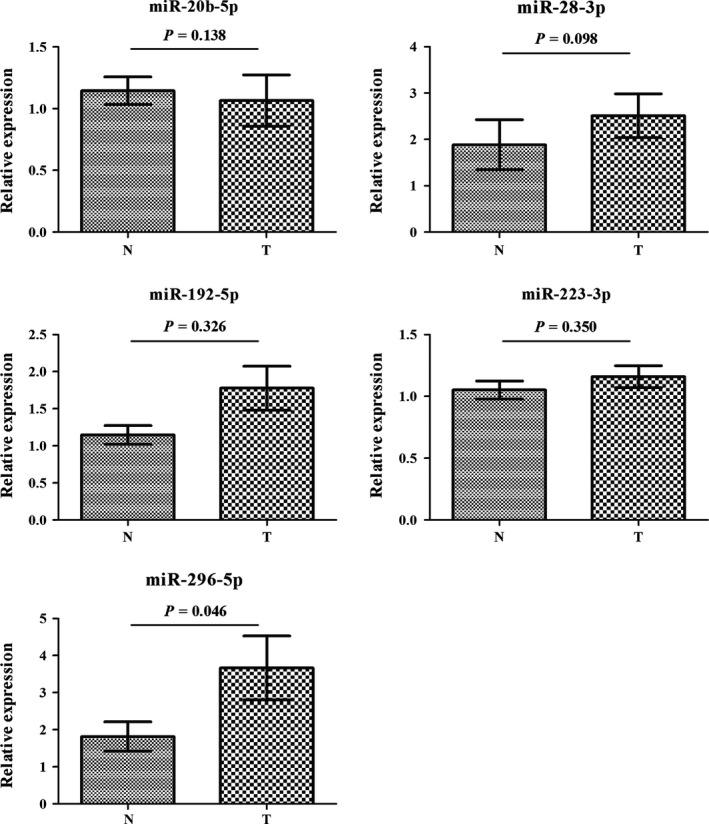 Figure 5