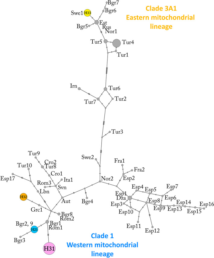 FIGURE 3