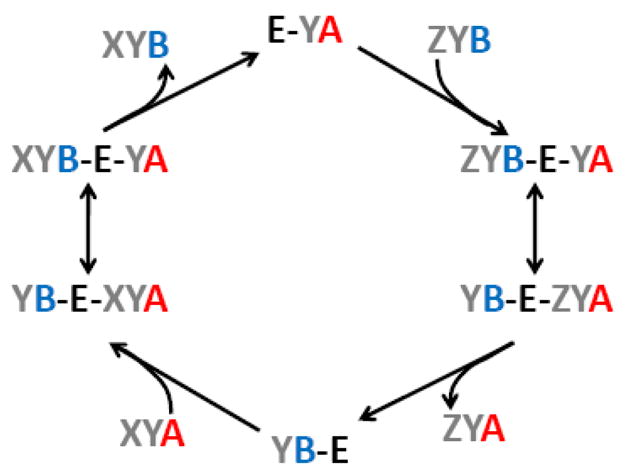 Fig. 1