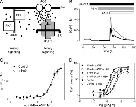 FIGURE 1.