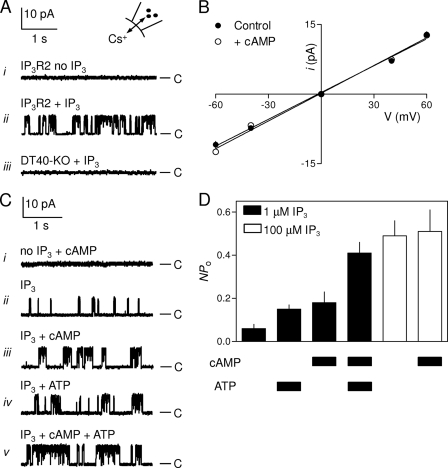 FIGURE 4.