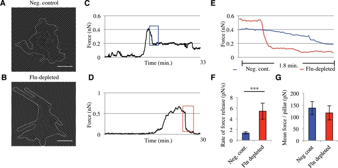 FIGURE 5: