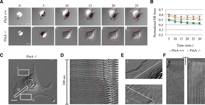 FIGURE 6: