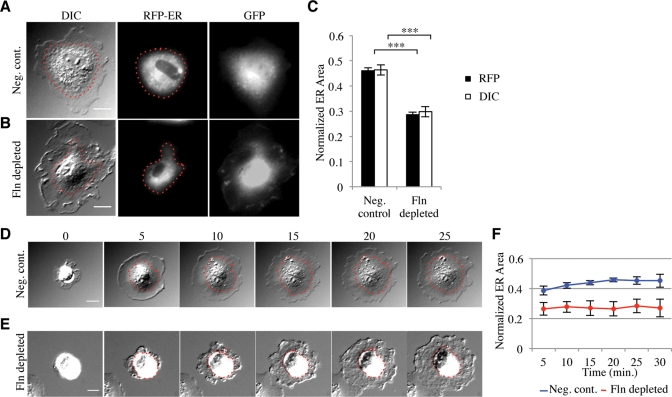 FIGURE 2: