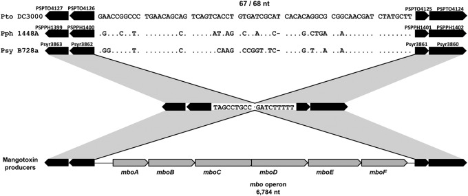 Fig 6