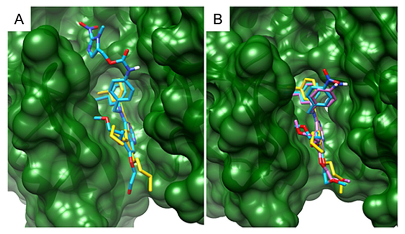 Figure 7