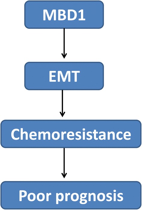 Fig. 5