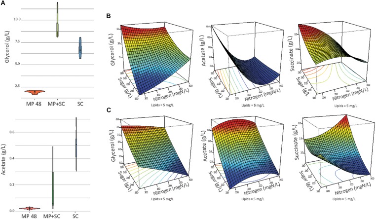 FIGURE 3