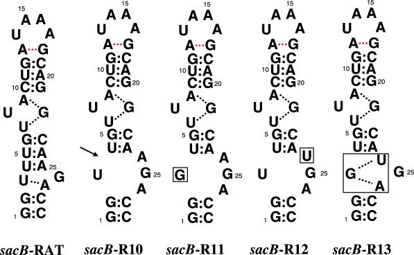 Figure 11