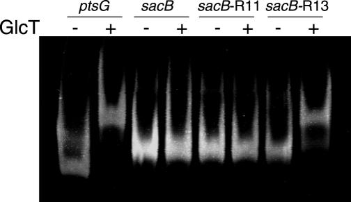 Figure 12