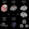 Graphical Abstract
