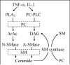 Figure. 6